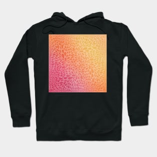 sherbet Hoodie